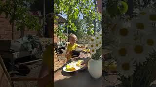 #доброеутро #дача #рецепт