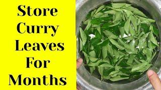 Curry leaves saving tips | How to keep curry leaves for long | How to store curry leaves