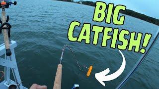 Catching BIG CATFISH In Rough Seas!! The BEST Way to Catch Blue Catfish Year-round!