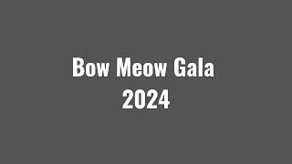 Bow Meow 2024