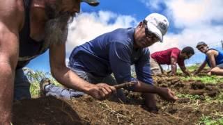 Unearthing Hawaii's lost agricultural traditions