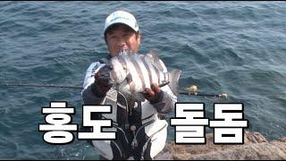 무더위와 맞바꾼 홍도 5짜 돌돔(2013) #이택상프로 #갯바위낚시