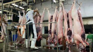 Dumaguete city slaughter house HOG OPERATION #butcher #slaugtherer