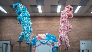 Double Female Lion Dance on High Poles Gender Reveal | Đoàn Lân Sư Rồng Tinh Nghĩa | 澳洲精義醒獅團