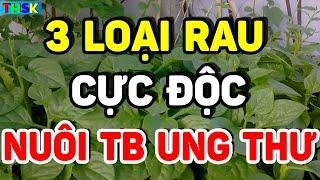 BS Cảnh Báo 3 LOẠI RAU NUÔI SỐNG TB UNG THƯ, CỰC ĐỘC, Càng Ăn Càng Nhanh Chếtt| THSK