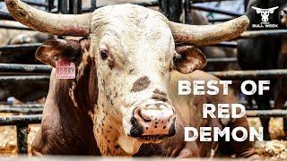 Red Demon Top Highlights |  Watch Out For this Bull