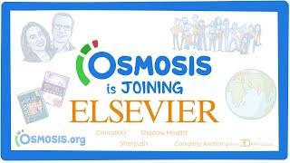 Osmosis joins the Elsevier family!