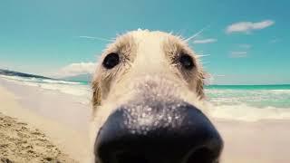 Sniffing for the best property investment deals? Get in touch with PropInvest.