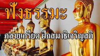 ฟังธรรมะคลายเครียด ฝึกสมาธิเจริญสติ สลายความเครียด เครียดจากการทำงาน แก้จิตฟุ้งซ่าน หดหู่ ซึมเศร้า