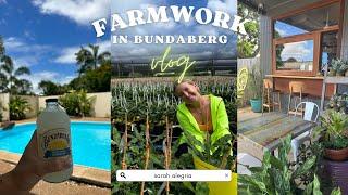 Farmwork in Australien  88 days job auf einer Macadamia Farm in Bundaberg - Vlog 