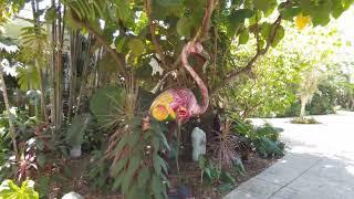 Miami Beach Botanical Garden 4K Walk