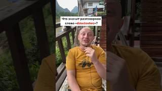  Что такое DZIADOSTWO по-польски? #польскийязык #jezykpolski #językpolski