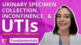 Urinary Specimen Collection, Incontinence, and UTI's - Fundamentals of Nursing | @LevelUpRN