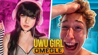 UwU Girl Goes On Omegle (But She's A Guy)