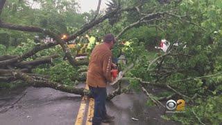 CBS2 News Update: May 16 at 11 a.m.