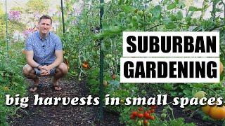 Suburban Gardening: how to get big harvests in small spaces