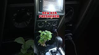 Plants as Car Air Purifier and Freshener #shorts #automobile #toyota #car