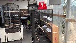 Bird Cages for sale