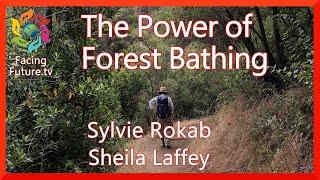 The Power of Forest Bathing