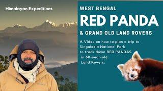 RED PANDA & GRAND LAND ROVERS OF WEST BENGAL I Wildlife Expeditions