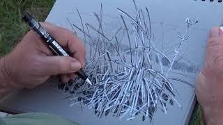 Drawing Inspiration From Nature