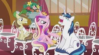 Princess Cadance & Shining Armor - It's alright. He always cries at weddings.