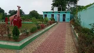 Maa Dwarswani temple. mini park sindhekela