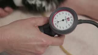 How to measure a cat's blood pressure with Dr Sarah Caney