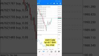 Cách mình trade forex từ 30$ lên 250$ trong 1h đồng hồ #hocforex #dautuforex