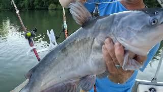 Looking for quick action in the shallow water spawning grounds.