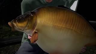 Fishing Sim World Boss Fish Fudgie's 86lb 5oz