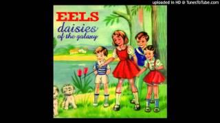 Eels - Daisies of the Galaxy -15- Mr. E's Beautiful Blues (Untitled)