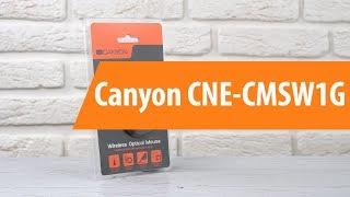 Распаковка Canyon CNE-CMSW1G / Unboxing Canyon CNE-CMSW1G