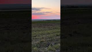 Ризиковий посів кукурудзи 15.05.24.Степ