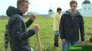 Возле Свенского монастыря появился рябиновый сквер 27 04 18