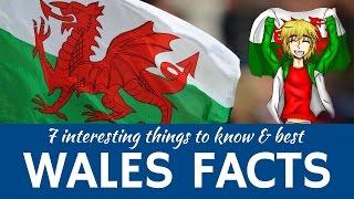 Wales: 7 Facts about Welsh Traditions and Interesting Travel Destinations