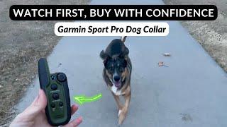 Review of the Garmin Sport Pro Dog Collar