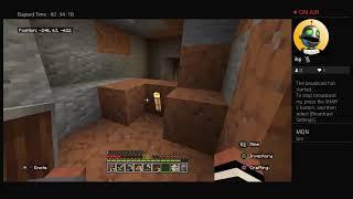 Playing Minecraft