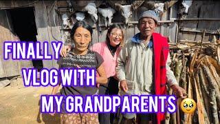 Visited my village after 7 years // met my grandparents  || Happy Newyear to everyone 