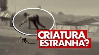 CRIATURA ESTRANHA: O QUE É ISSO?