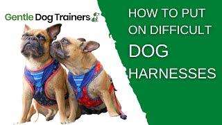 How To Put On A Dog Harness - STEP BY STEP