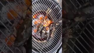 개구리 구이 - grilled frog