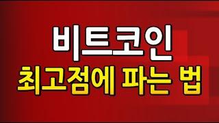 [도리349강] 비트코인 최고점 매도 방법!! #도리50일매도플랜