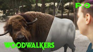 Turning Actors into Animals - Woodwalkers | VFX Breakdown