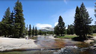 4 Miles of the JMT | Loyal Kinfolk Travel