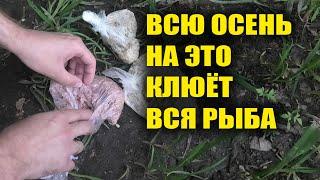 ОСЕНЬЮ ВСЯ РЫБА КЛЮЁТ НА ЭТУ НАСАДКУ!