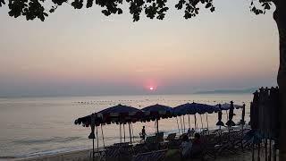 Sunset on a beautiful beach under a tree