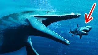 14 Fakta dan Mitos tentang Hiu dan Monster Laut Lainnya