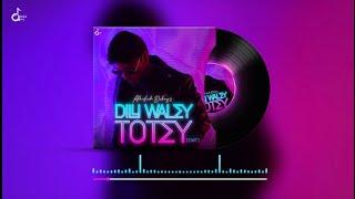 DILLI WALEY TOTEY (DWT) - (OFFICIAL AUDIO) - ABHISHEK DUBEY