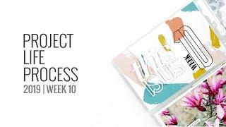 Project Life Process Layout 2019 | Week 10